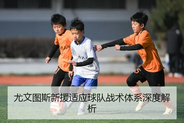 尤文图斯新援适应球队战术体系深度解析